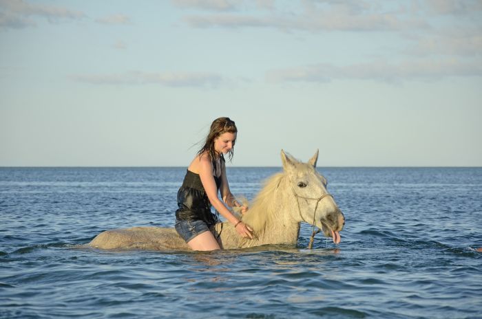 Plage paradisiaque au Mozambique