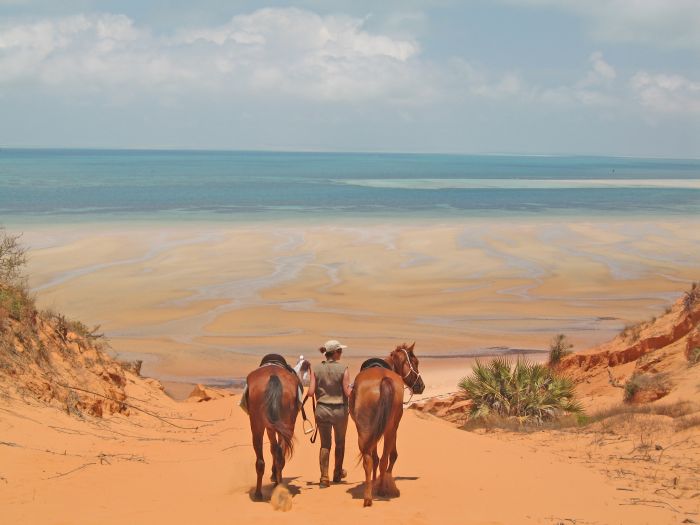 Plage paradisiaque au Mozambique