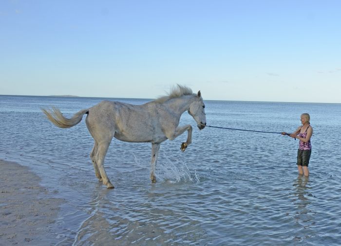 Plage paradisiaque au Mozambique