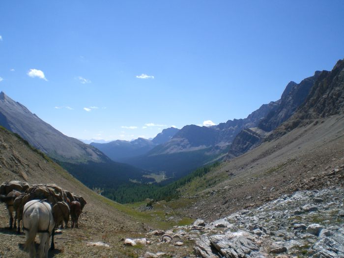 Promenades dans le parc national de Banff