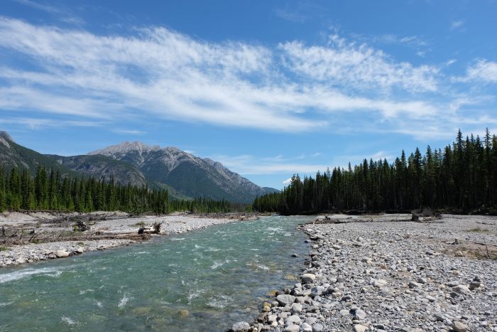 Promenades dans le parc national de Banff