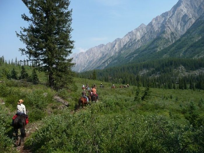 Promenades dans le parc national de Banff