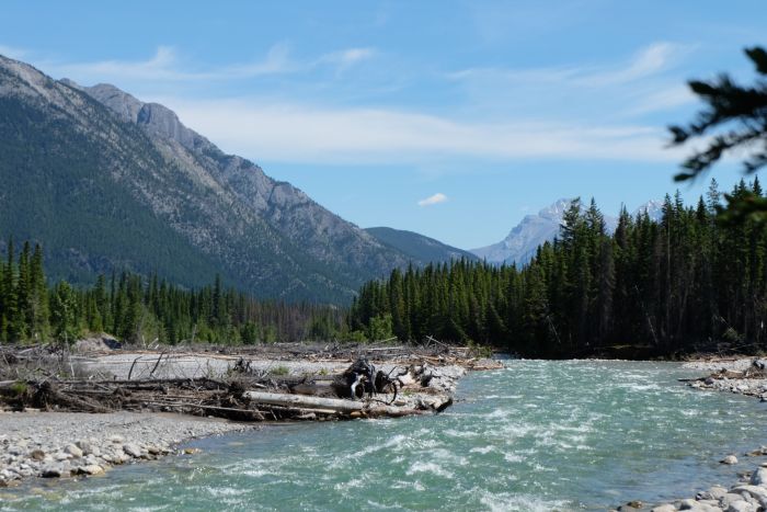Promenades dans le parc national de Banff