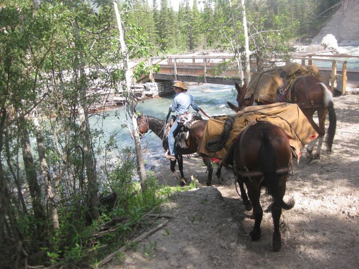 Promenades dans le parc national de Banff
