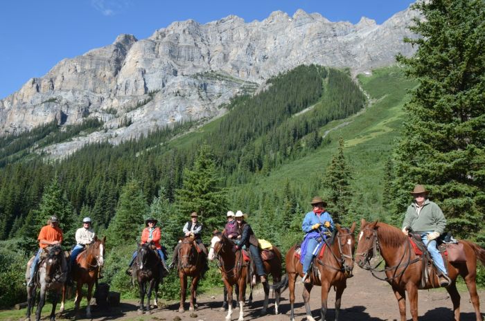 Promenades dans le parc national de Banff