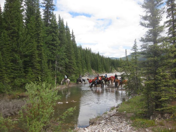 Randonnées à Kananaskis