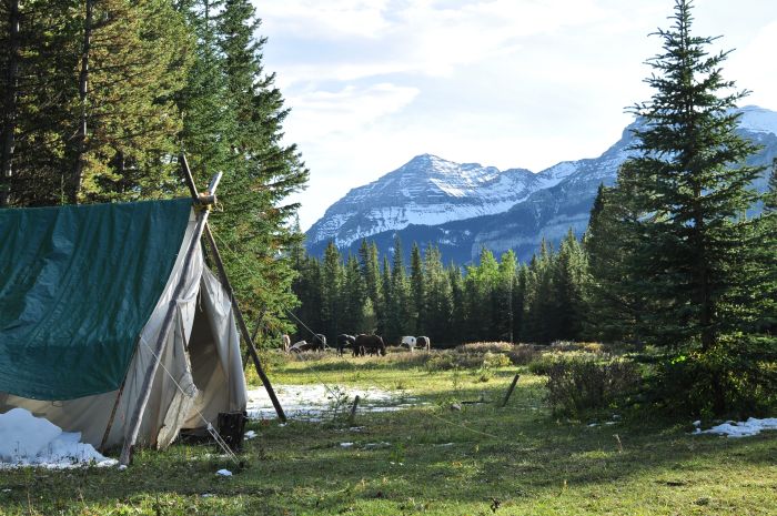 Randonnées à Kananaskis