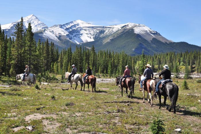 Randonnées à Kananaskis