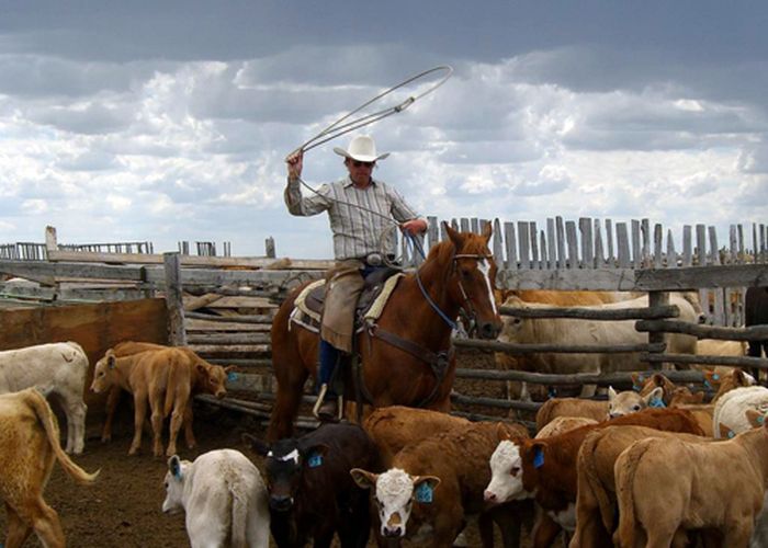 La Reata - Saskatchewan River Valley Ranch