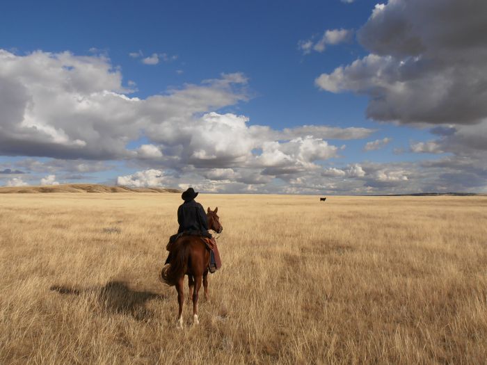 La Reata - Saskatchewan River Valley Ranch