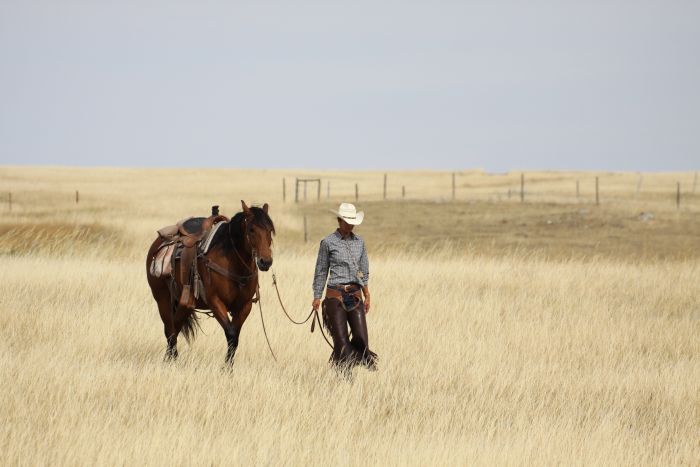 La Reata - Saskatchewan River Valley Ranch