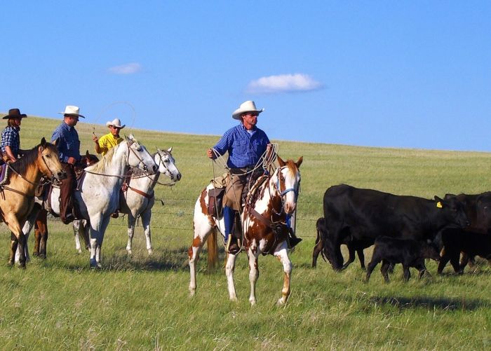 La Reata - Saskatchewan River Valley Ranch