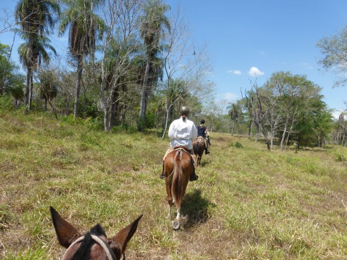 Randonnées Rustico del Caribe