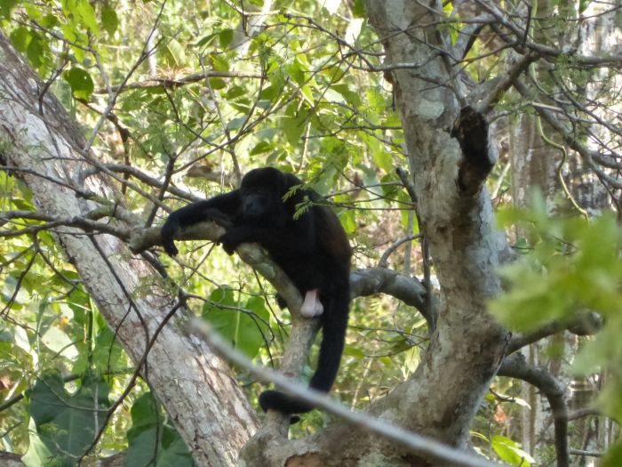 Randonnées Rustico del Caribe