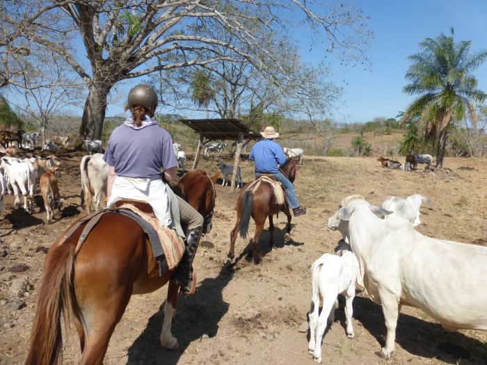 Randonnées Rustico del Caribe