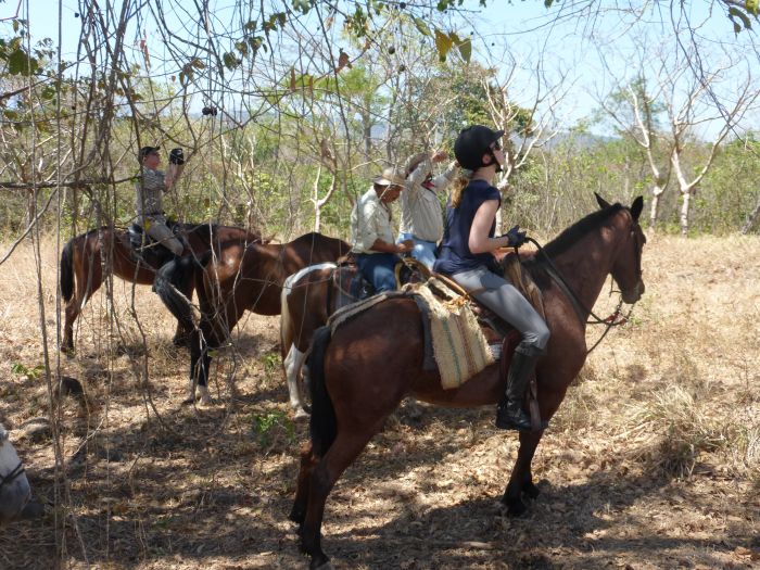 Randonnées Rustico del Caribe