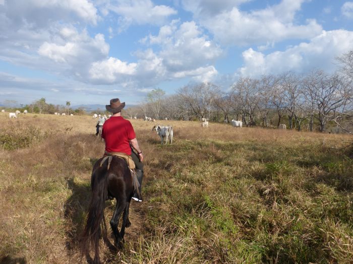 Randonnées Rustico del Caribe