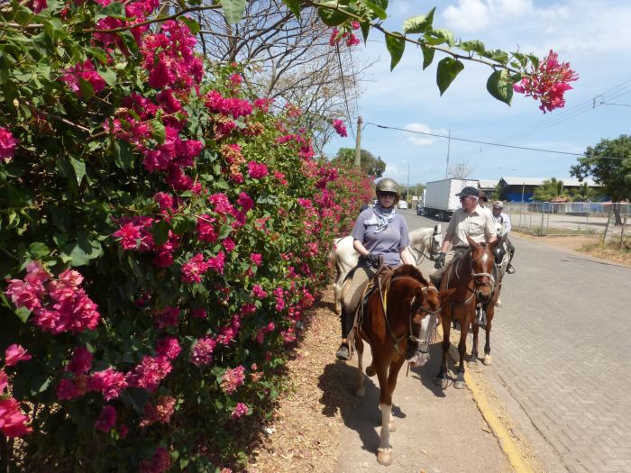 Randonnées Rustico del Caribe