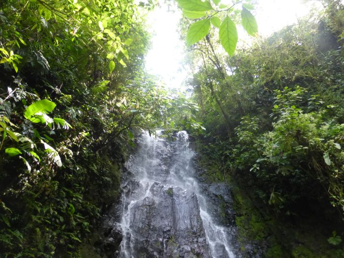 Randonnées Rustico del Caribe