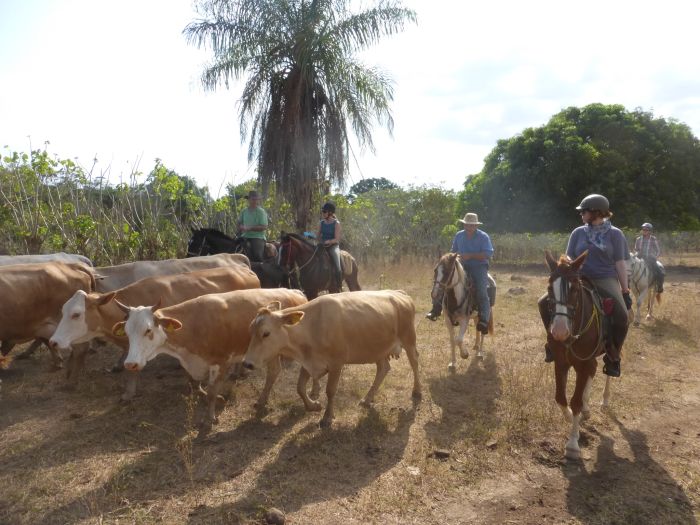 Randonnées Rustico del Caribe