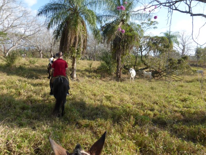 Randonnées Rustico del Caribe