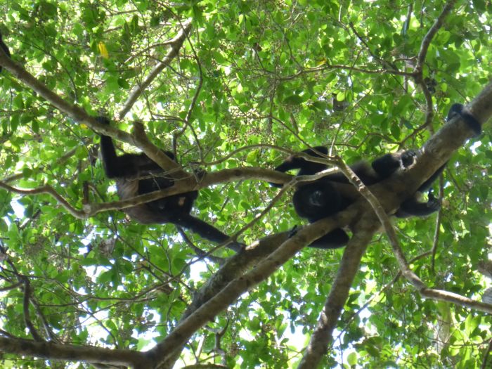 Randonnées Rustico del Caribe