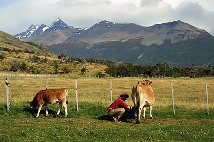 Randonnées des glaciers de Patagonie
