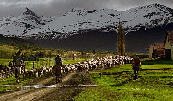 Randonnées des glaciers de Patagonie