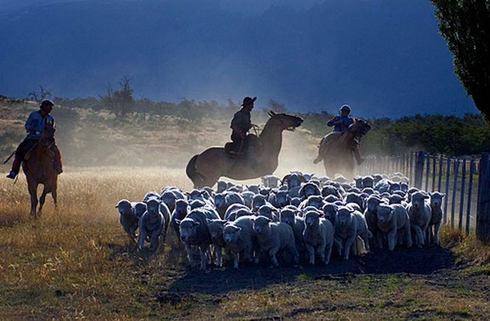 Randonnées des glaciers de Patagonie