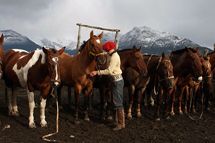 Randonnées des glaciers de Patagonie