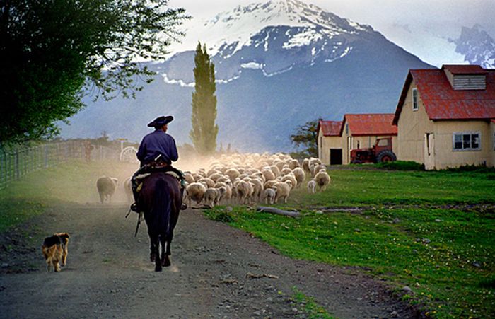 Randonnées des glaciers de Patagonie