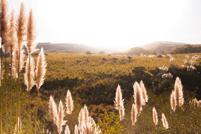 S&eacute;jour dans la Sierra Chicas