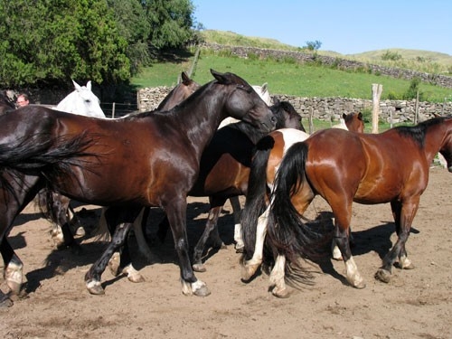 Séjour dans la Sierra Chicas