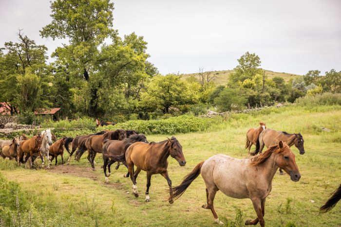 S&eacute;jour dans la Sierra Chicas