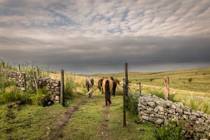 S&eacute;jour dans la Sierra Chicas
