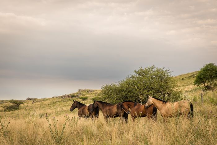 S&eacute;jour dans la Sierra Chicas