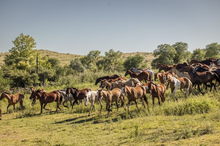 S&eacute;jour dans la Sierra Chicas