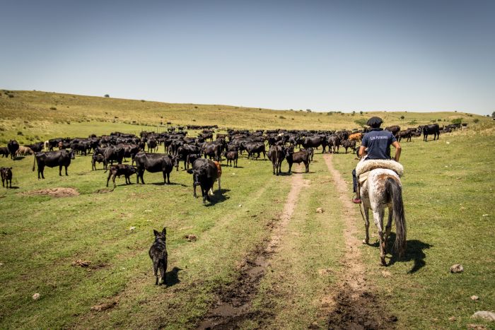 S&eacute;jour dans la Sierra Chicas