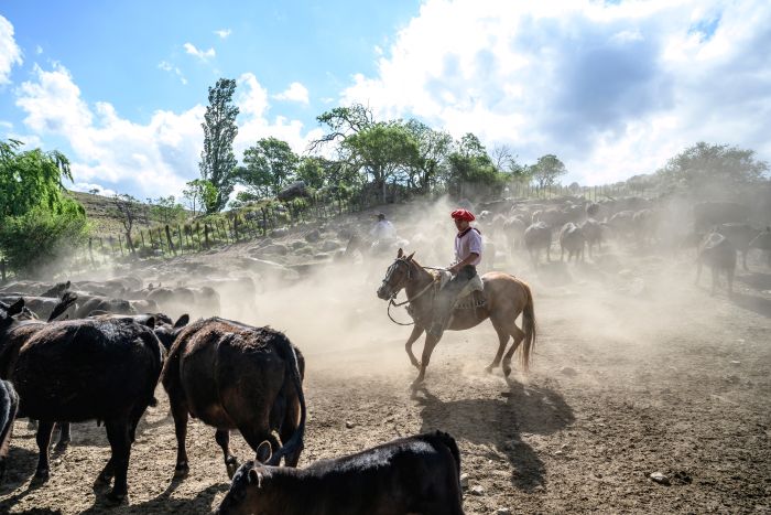 S&eacute;jour dans la Sierra Chicas