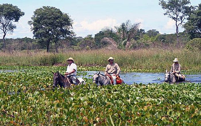 Balade du Pantanal
