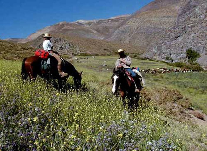 Aventure dans le Norte Chico