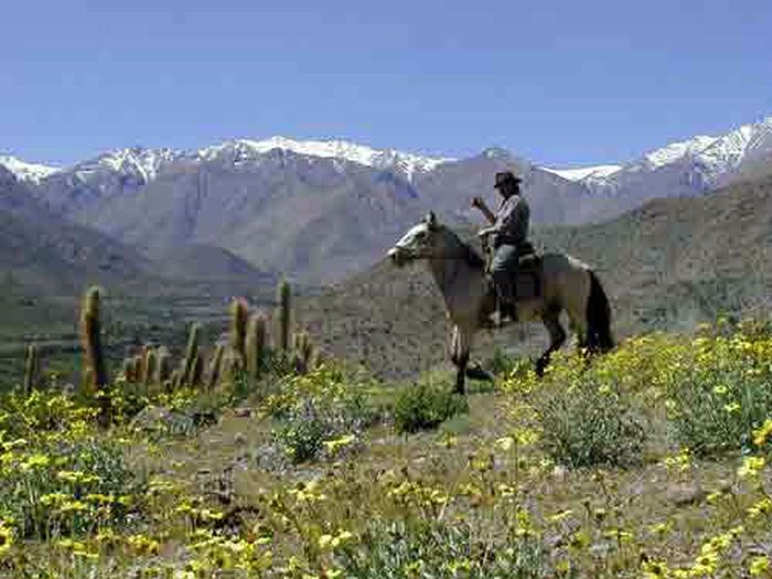 Aventure dans le Norte Chico
