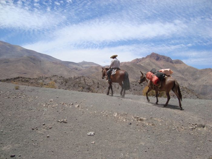 Aventure dans le Norte Chico