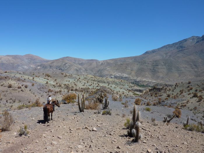 Aventure dans le Norte Chico