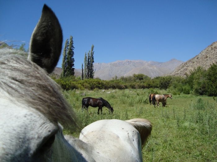Aventure dans le Norte Chico