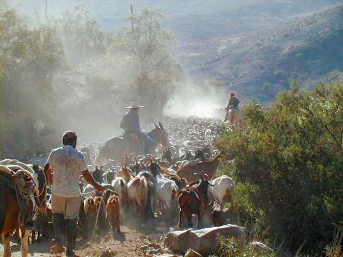 Aventure dans le Norte Chico