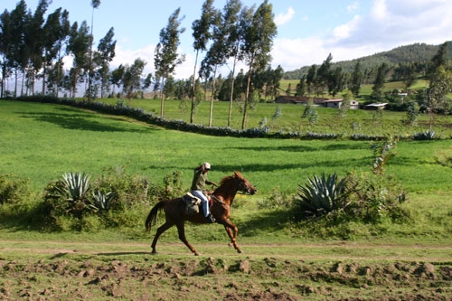 Randonnée des Haciendas coloniales