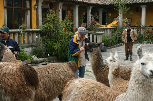Randonnée des Haciendas coloniales