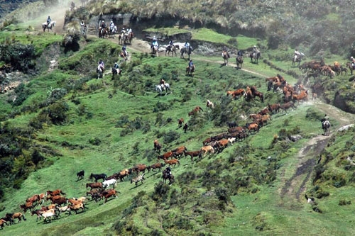 Reiten in Ecuador