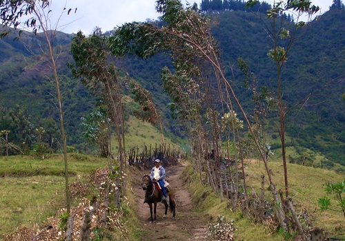 Randonnée d'Otavalo à l'Hacienda Cusin